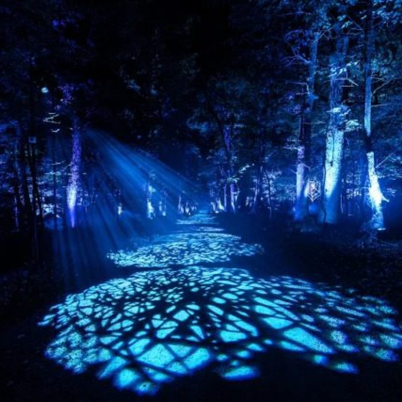 festival-harry-potter-_warnerbrothers-6-compressed-640x427